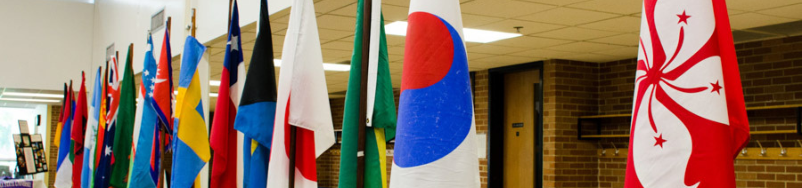 Global Studies Minor Image